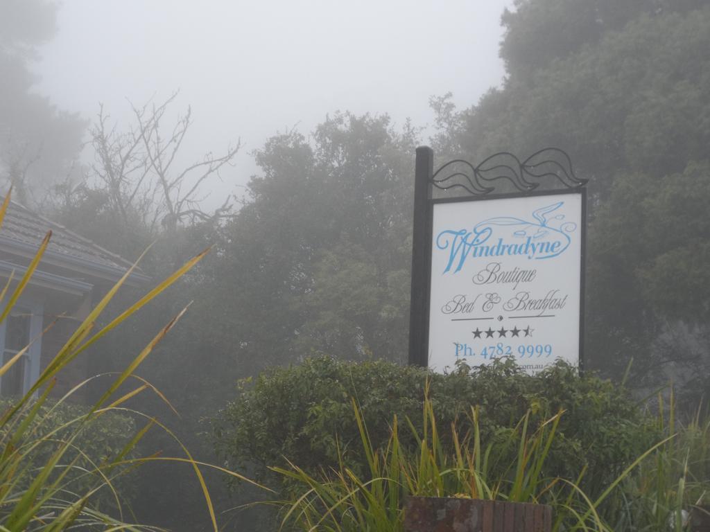 Windradyne Boutique Bed & Breakfast Katoomba Exterior foto
